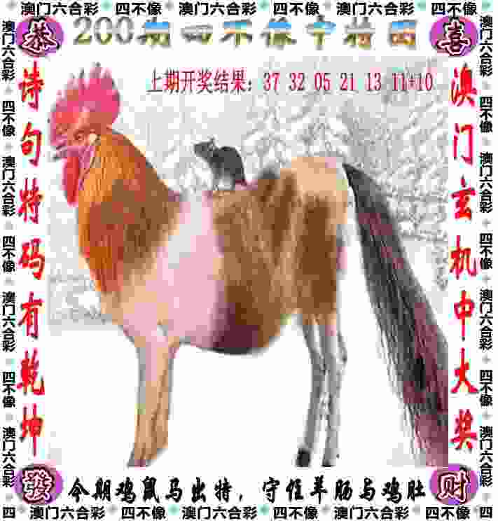 2025年天天免费资料国际服下载安装-2025年新澳门记录查询中文版下载 v7   .37   .111   -2278安卓网